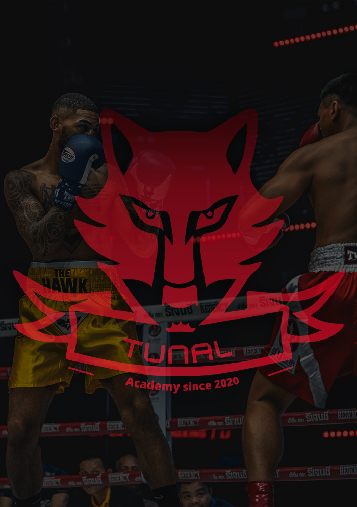 Tunal Academy - Boxing Team : Flyer,Fight ,Sponsor,Presentation Boxer Design